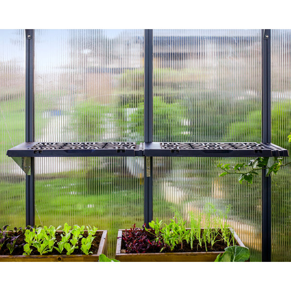 Palram Greenhouse Shelving Wayfair